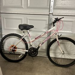 Rand Equalizer 18-speed mountain bike.