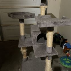 Used Cat Tree