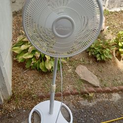 Oscillating Fan 