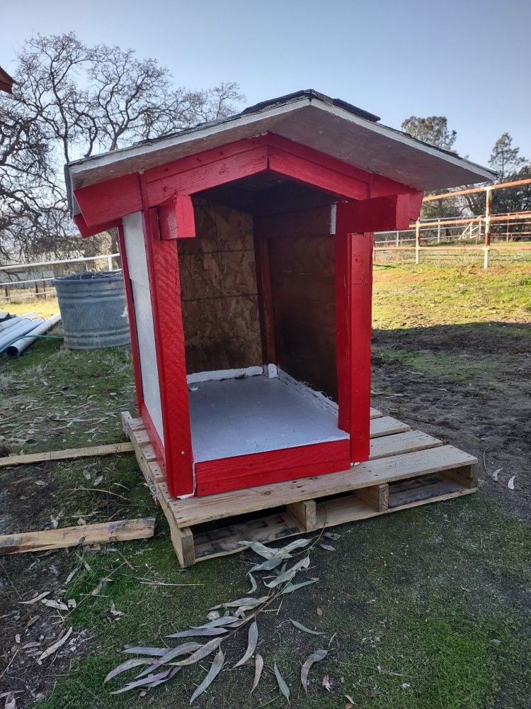 Large Wood Dog House