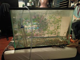 29 Gallon fish tank