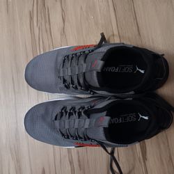 Pumas