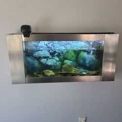 Wallmount Fish Tank