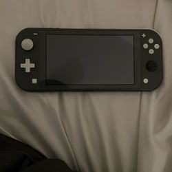 Nintendo Lite Gray