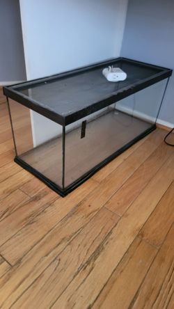 30 for lizard tank