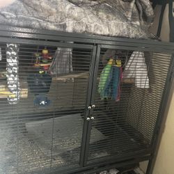 Bird Cage 