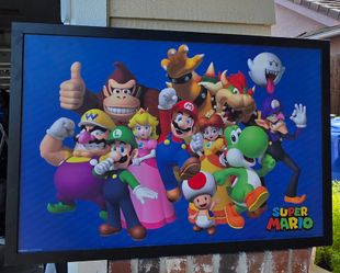 Super Mario Brothers Picture