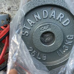 2 CAP Barbell Gray Olympic Cast Iron Weight Plate, 25 lb