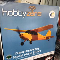 Champ RC airplane bind and fly