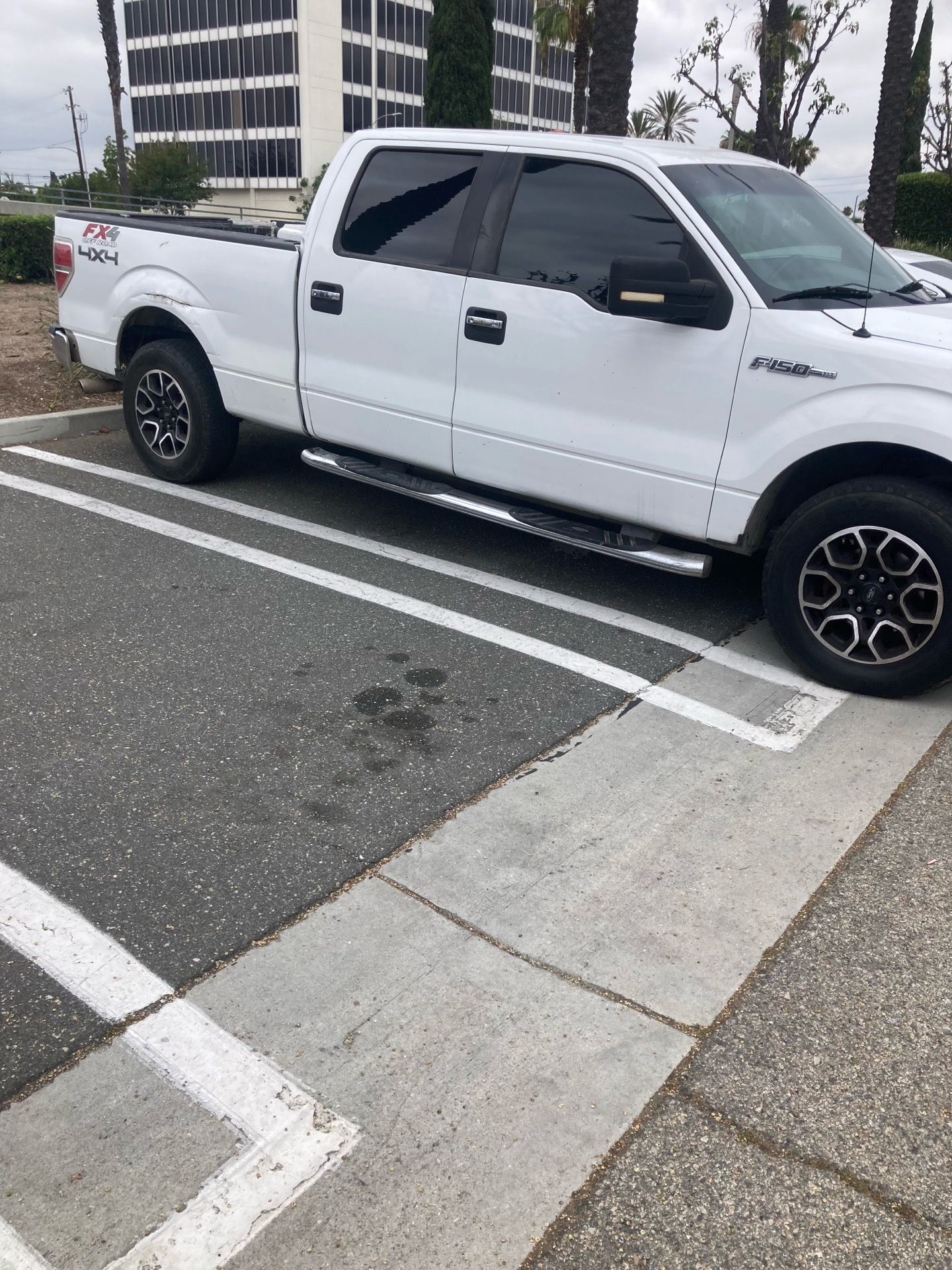 2009 Ford F-150