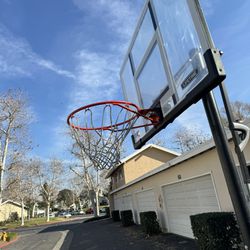 Lifetime 54” Action Grip Portable Basketball Hoop