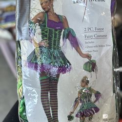 Fairy Costume