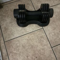 40 Lb. Adjustable Weight 