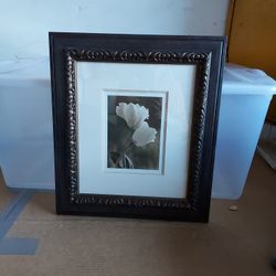 Bending Tulip
