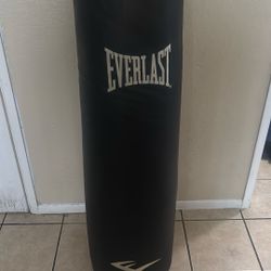 Everlast Heavy Bag 