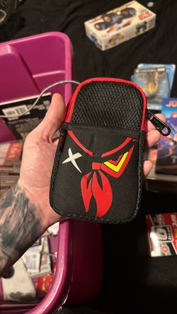 Ds case