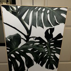 Gorgeous Leaf 🍃 Nature Wall Art Canvas 40x30 