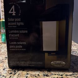 Solar Accent Lights 