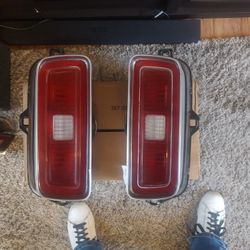 Tail Light Lens 74 Chevelle Malibu Laguna 