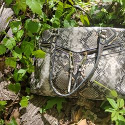 Jessica Simpson Python Purse