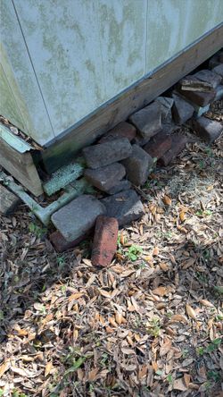 Free random bricks and pavers