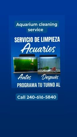 Aquarium Cleaning Service 