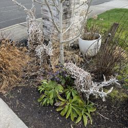 3 Wicker Twig Hand Made Reindeer With Lights