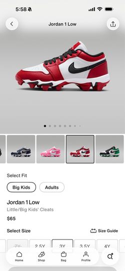 Youth Jordan 1 multisport cleats size 3y