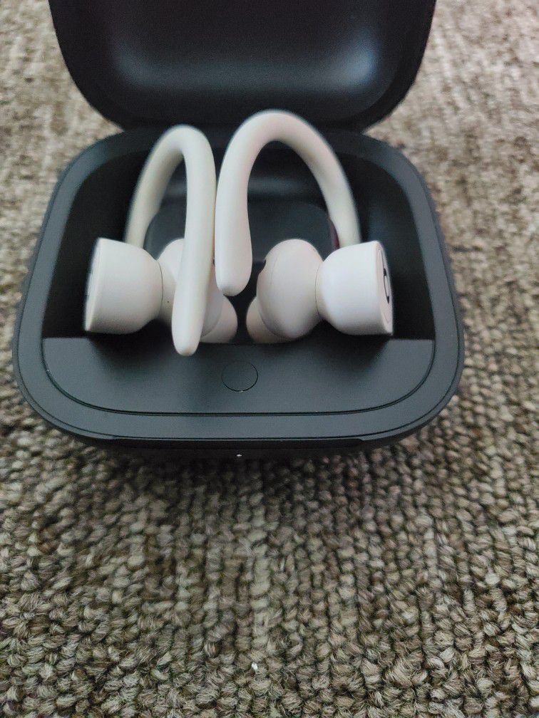 Apple Beats by Dr. Dre Powerbeats Pro  Totally Wireless Earphones - Glacier
