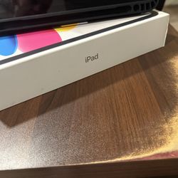 iPad 