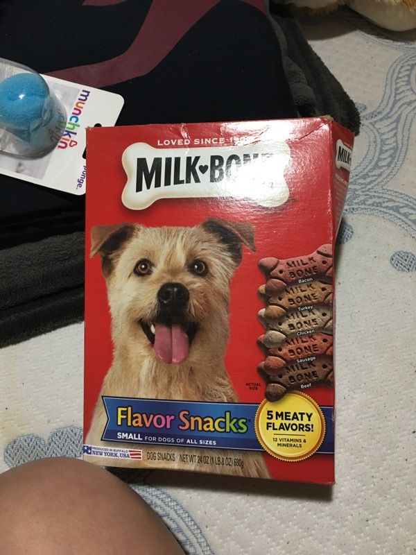 Dog snack