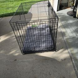 Dog Cage 