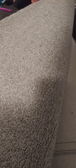 Carpet