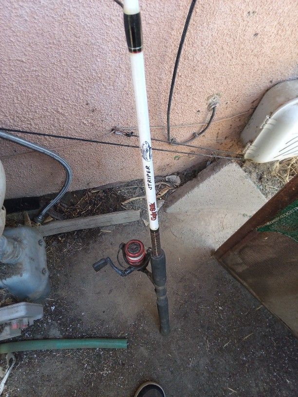 Ugly Stick Striper FISHING ROD
