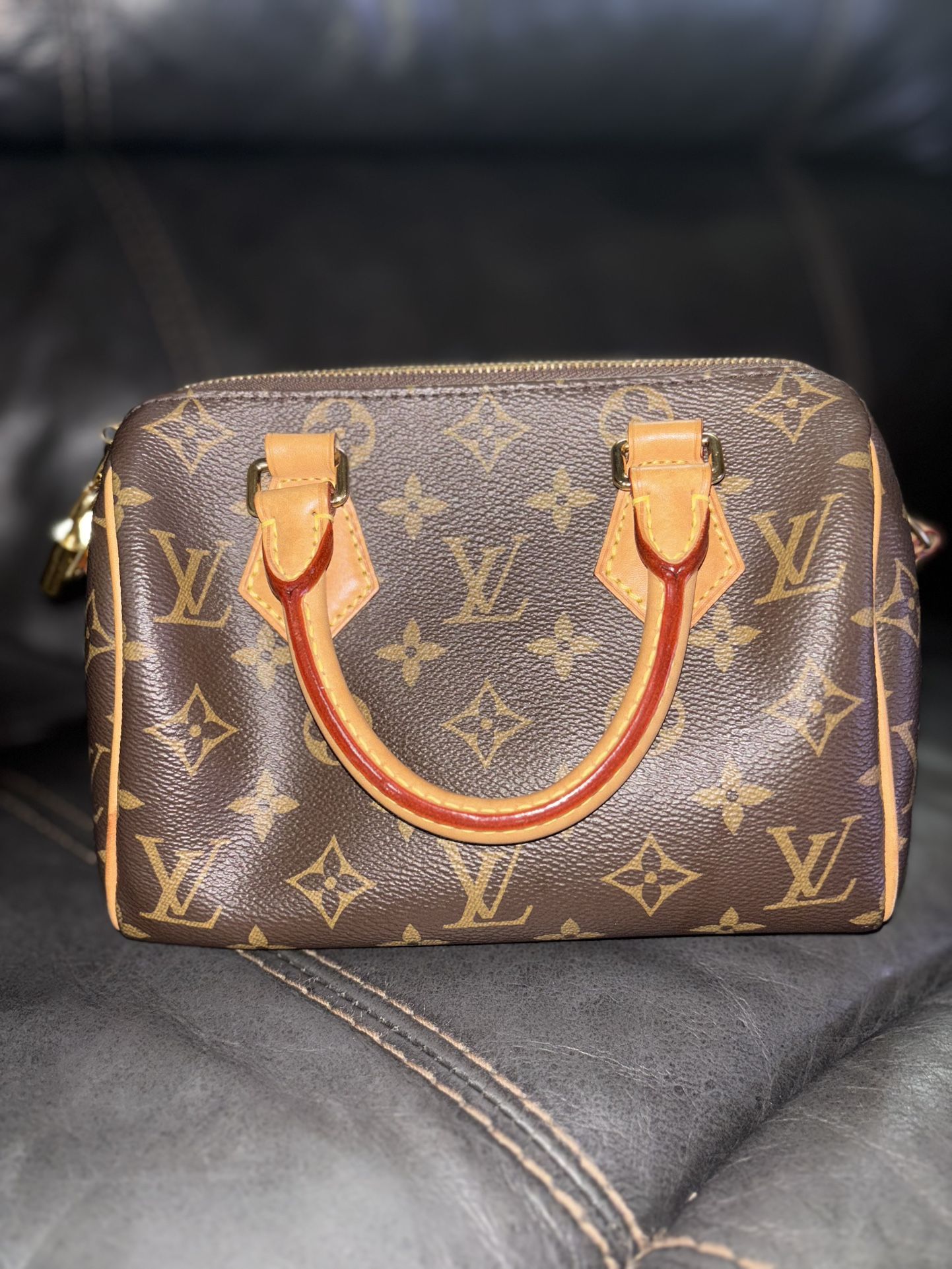 Louis Vuitton Purse