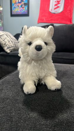 Douglass Plushie