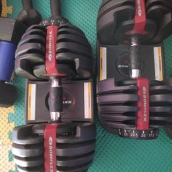 Bowflex Weight Set 5-52.5lb