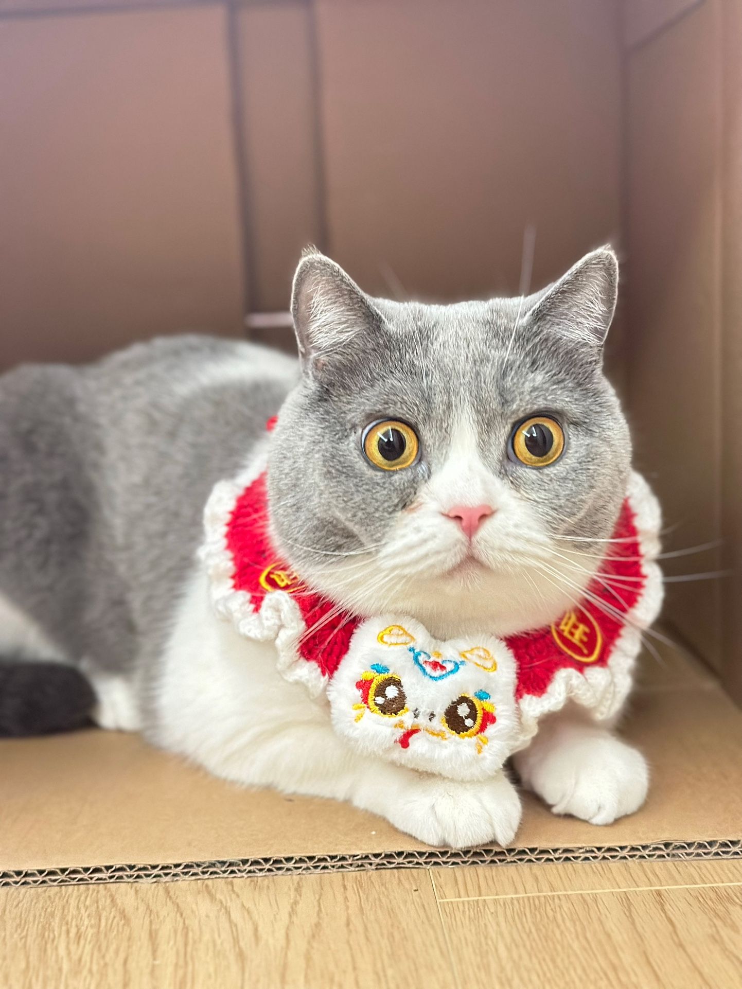 Handmade Lucky Cat Crochet Collar for Pets