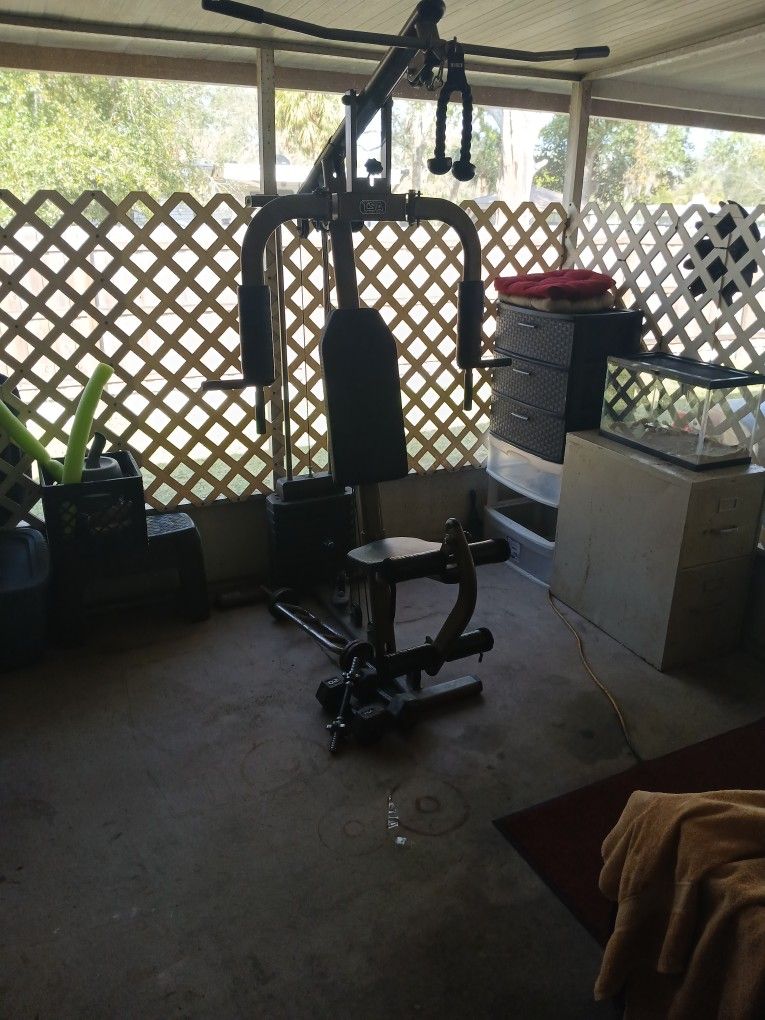 Gym Weight Bench