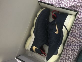 Lebron 14 Low