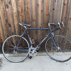 Univega Gran premio vintage Road Bike (FREE)