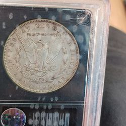 1881 Vig Collector's Edition Morgan Silver Dollar Authenticated What Are You Guys Doing