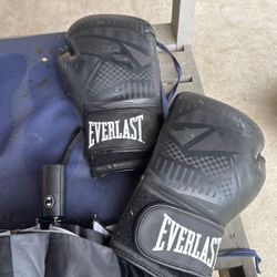 Boxing Gloves Everlast