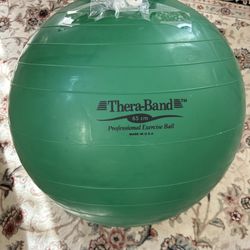 TheraBand Exercise Ball Professional Series 65cm Diameter