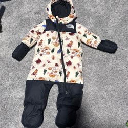 The north Face Snow Jacket
