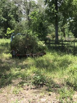 Tree are cut 👌👍