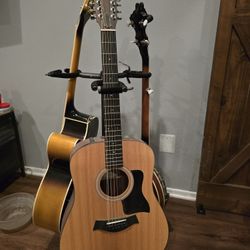 Taylor 12 String Guitar Model 150e