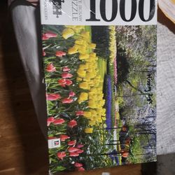 Free 1000 Piece Jigsaw Puzzle -Missing 2 Pieces.