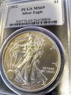 Silver dollar 10 g 2012