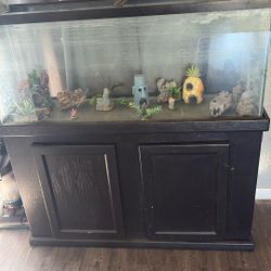 55 Gallon Fish Tank 